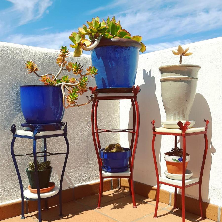 Casa Agua Marina Bed & Breakfast San José Eksteriør bilde
